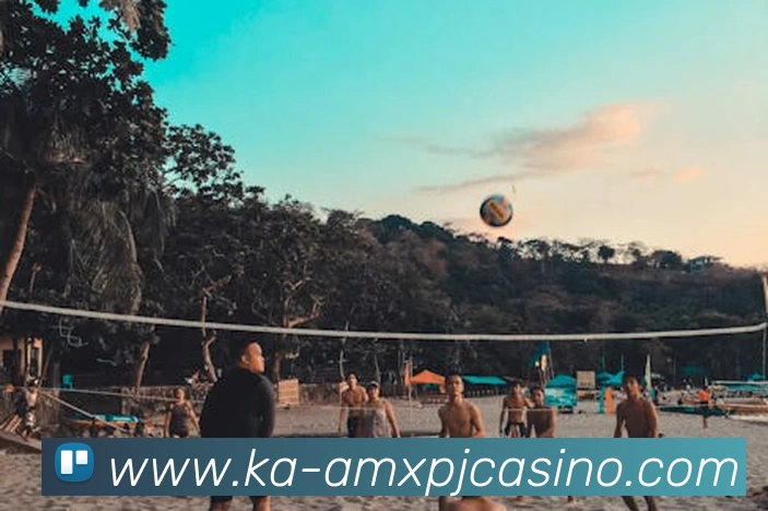 App Interface Preview