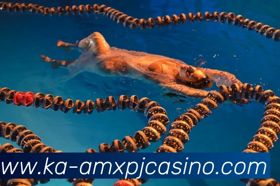 新葡京娱乐APP 封面图